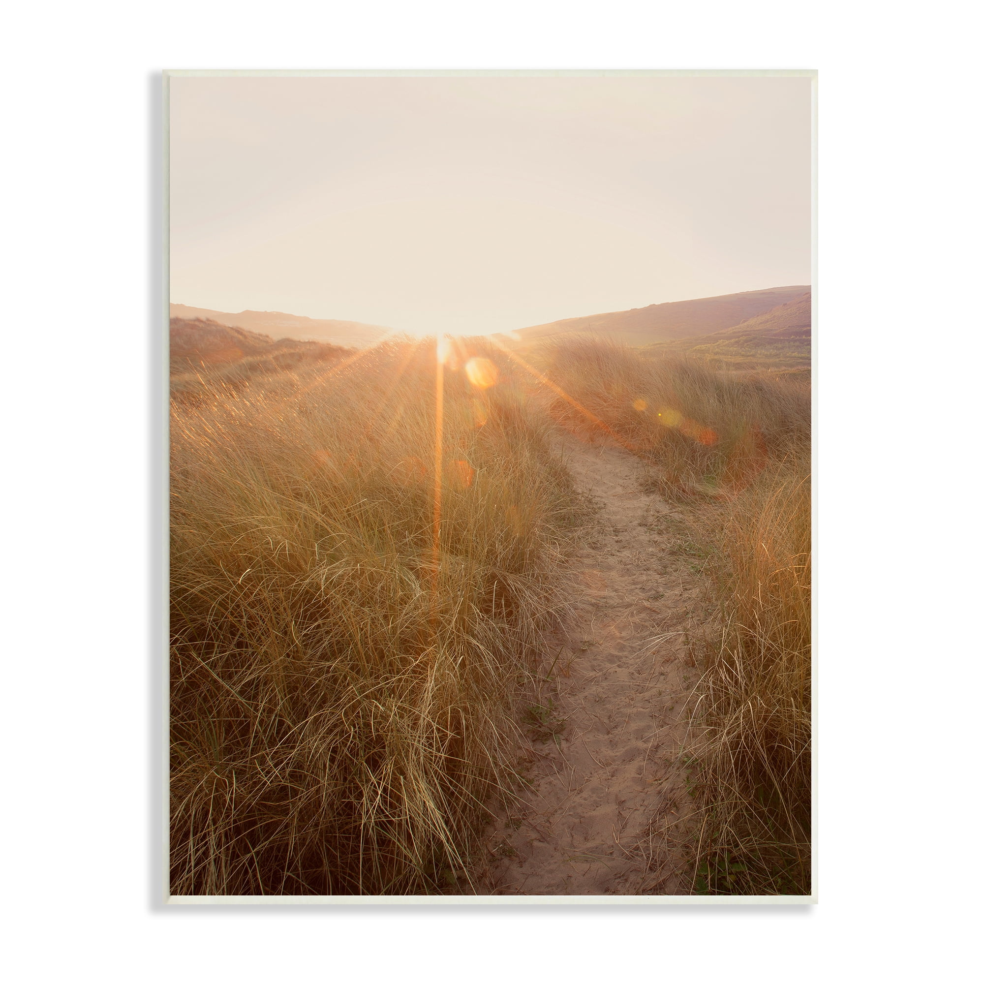 Stupell Indtries Sunrays Through Sun Bleached Sand Dunes Tall Grass,13 x 19,Design by Ian Winstanley