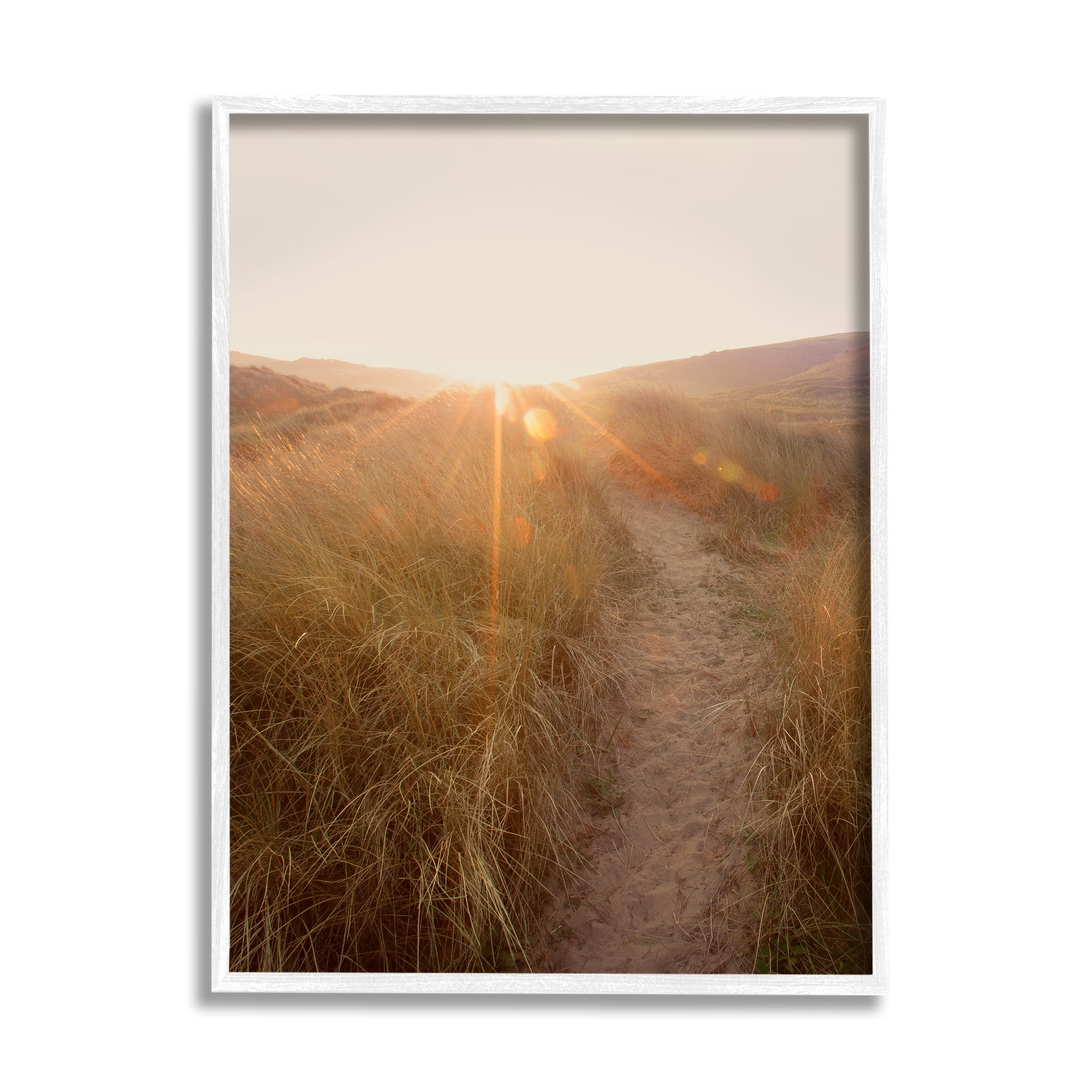 Stupell Indtries Sunrays Through Sun Bleached Sand Dunes Tall Grass,16 x 20,Design by Ian Winstanley