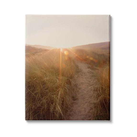 Stupell Indtries Sunrays Through Sun Bleached Sand Dunes Tall Grass,16 x 20,Design by Ian Winstanley