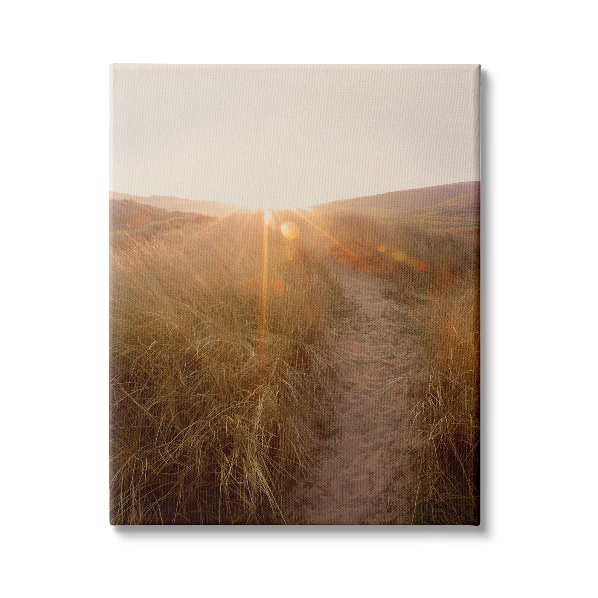 Stupell Indtries Sunrays Through Sun Bleached Sand Dunes Tall Grass,24 x 30,Design by Ian Winstanley