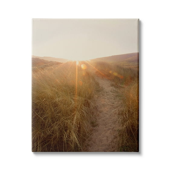 Stupell Indtries Sunrays Through Sun Bleached Sand Dunes Tall Grass,36 x 48,Design by Ian Winstanley