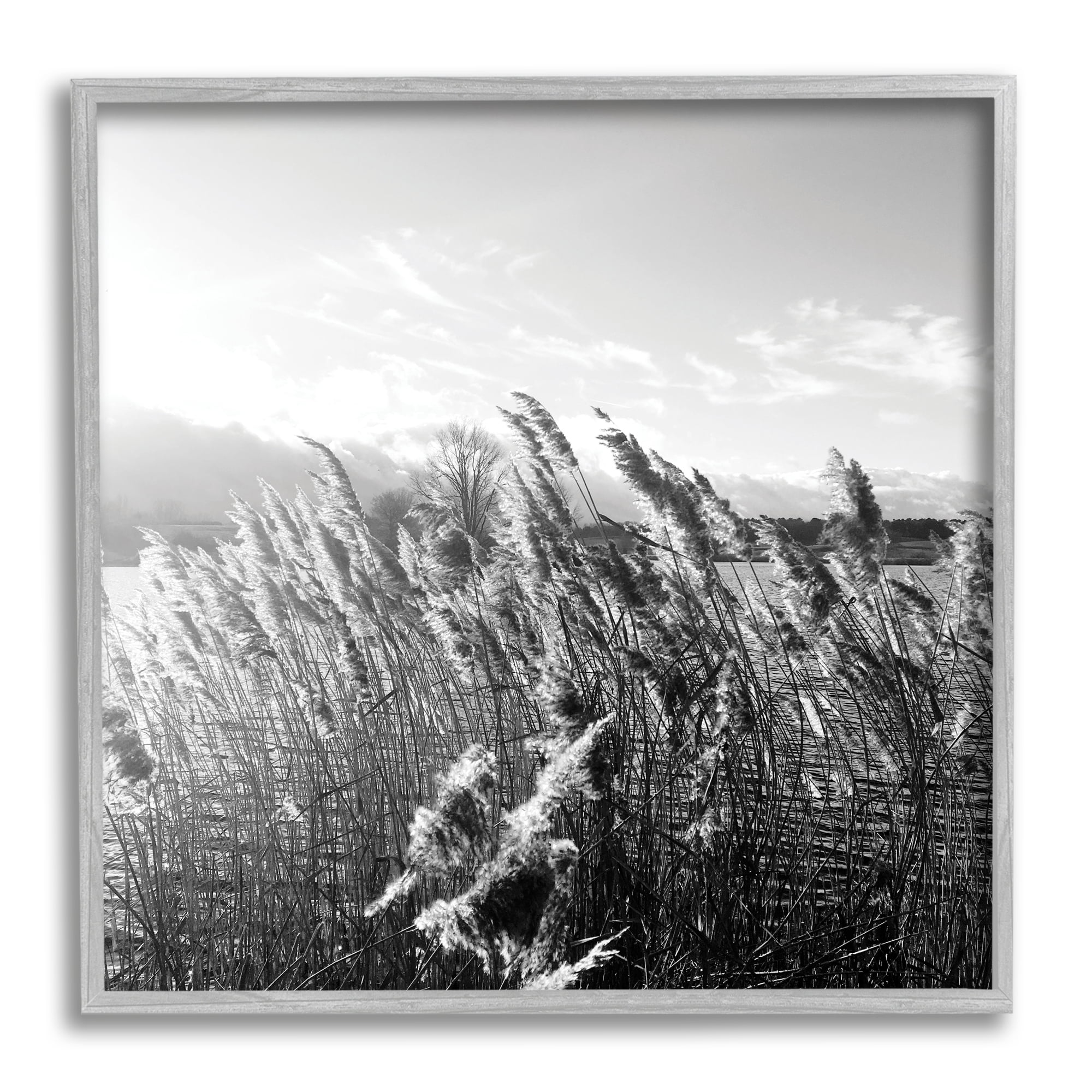 Stupell Indtries Tall Grass Lake Water Landscape Black White Photography,24 x 24,Design by Sarah Jane