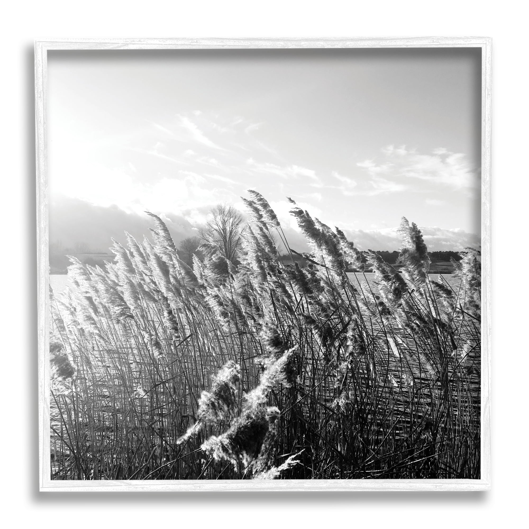 Stupell Indtries Tall Grass Lake Water Landscape Black White Photography,24 x 24,Design by Sarah Jane