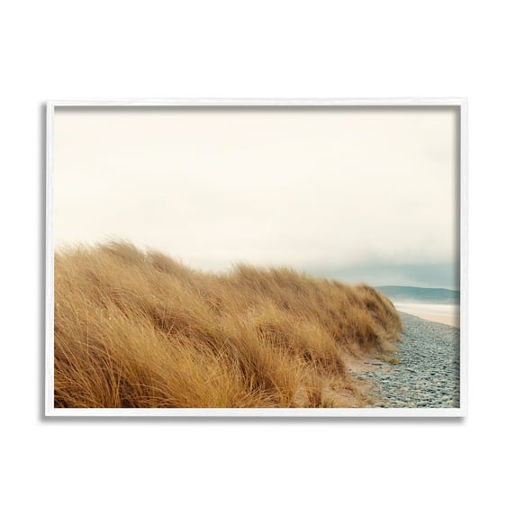 Stupell Indtries Tall Grass Windy Ocean Scene Pebble Coast Beach,20 x 16,Design by Ian Winstanley