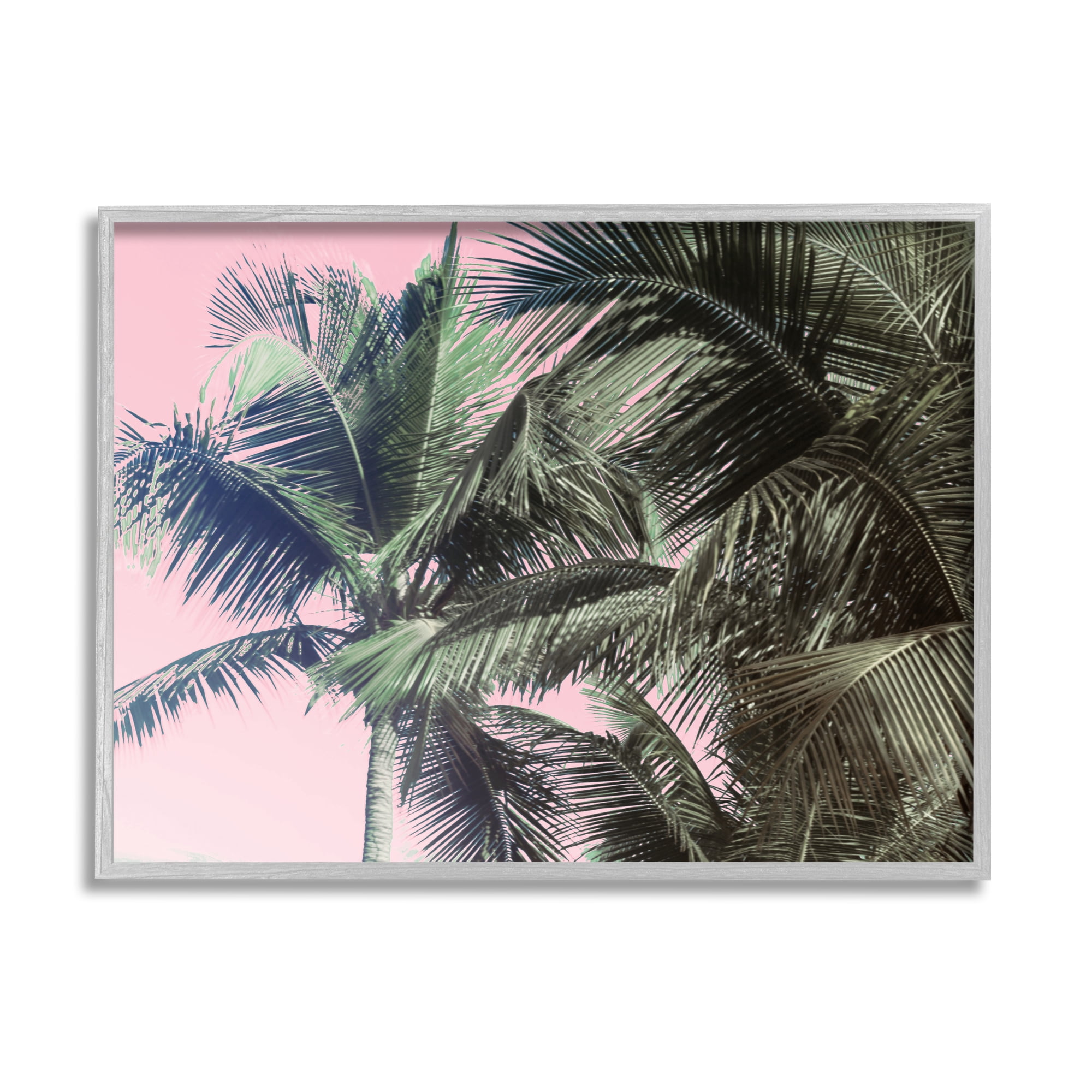 Stupell Indtries Tropical Palm Tree Fronds Layered Tall Trees Pink,14 x 11,Design by Kathy Mansfield