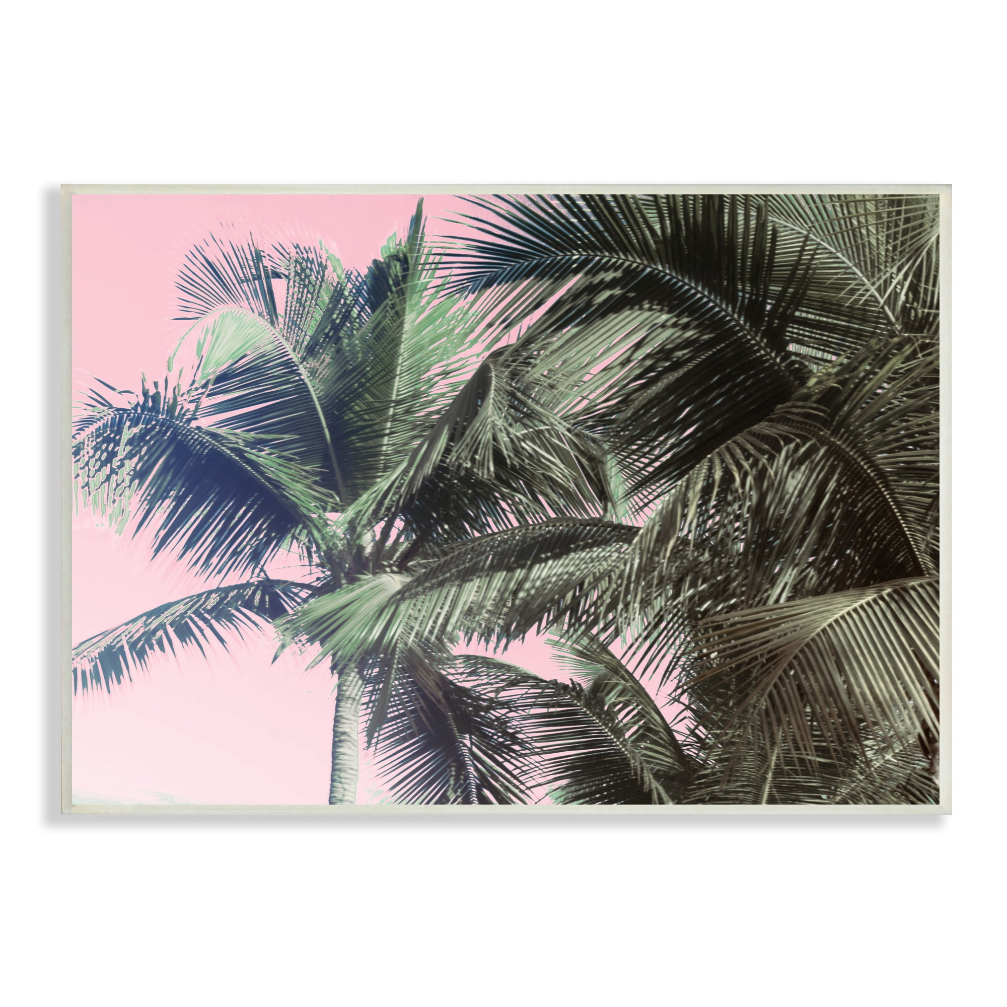 Stupell Indtries Tropical Palm Tree Fronds Layered Tall Trees Pink,19 x 13,Design by Kathy Mansfield