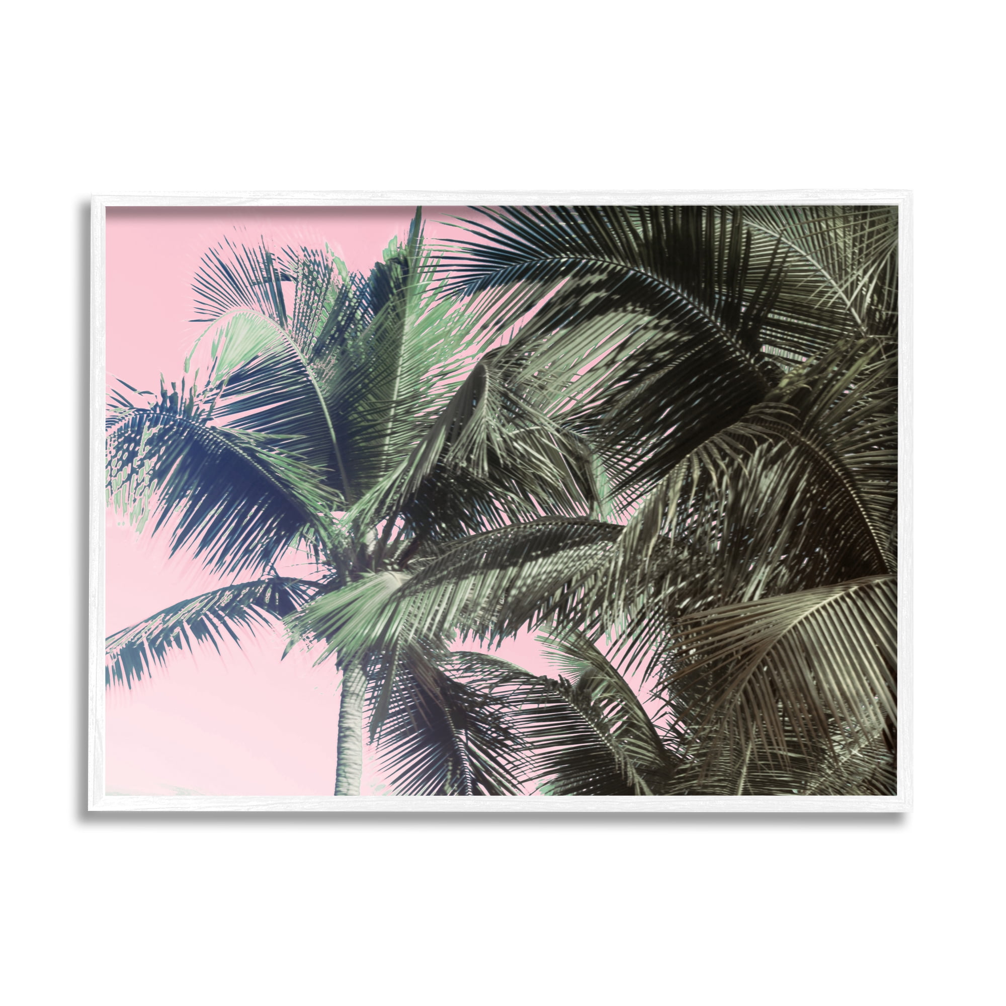 Stupell Indtries Tropical Palm Tree Fronds Layered Tall Trees Pink,20 x 16,Design by Kathy Mansfield