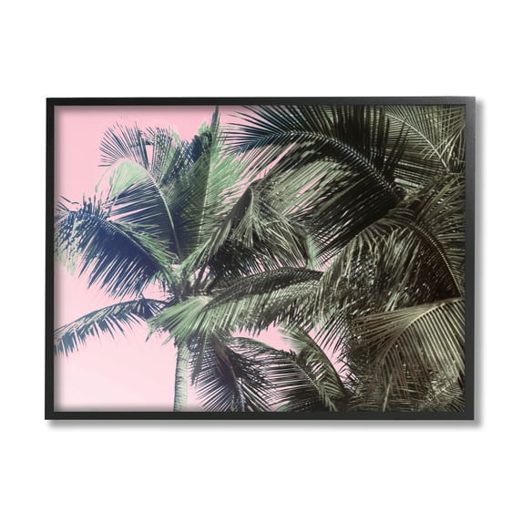 Stupell Indtries Tropical Palm Tree Fronds Layered Tall Trees Pink,20 x 16,Design by Kathy Mansfield