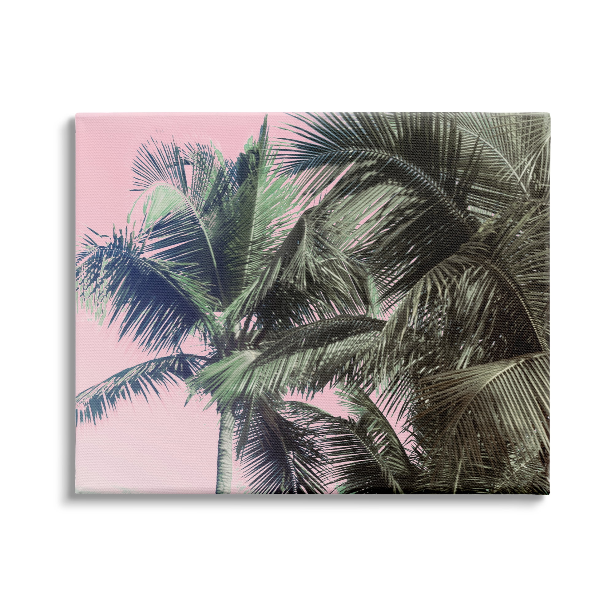 Stupell Indtries Tropical Palm Tree Fronds Layered Tall Trees Pink,20 x 16,Design by Kathy Mansfield