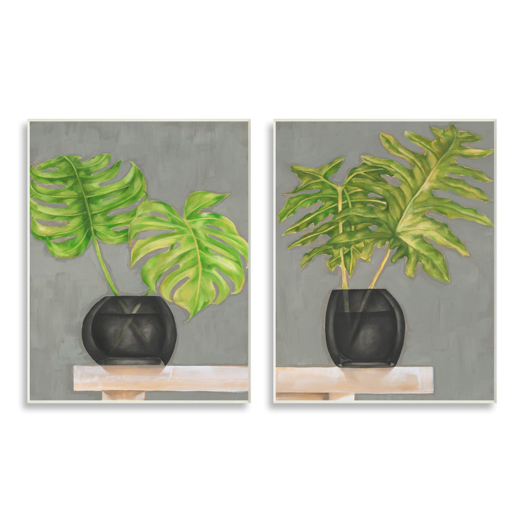 Stupell Indtries Tropical Plant Fronds Monstera Interior Still Life,13 x 19,Design by Jennifer Goldberger&nbsp;