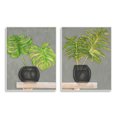 thumbnail image 1 of Stupell Indtries Tropical Plant Fronds Monstera Interior Still Life,13 x 19,Design by Jennifer Goldberger&nbsp;, 1 of 6