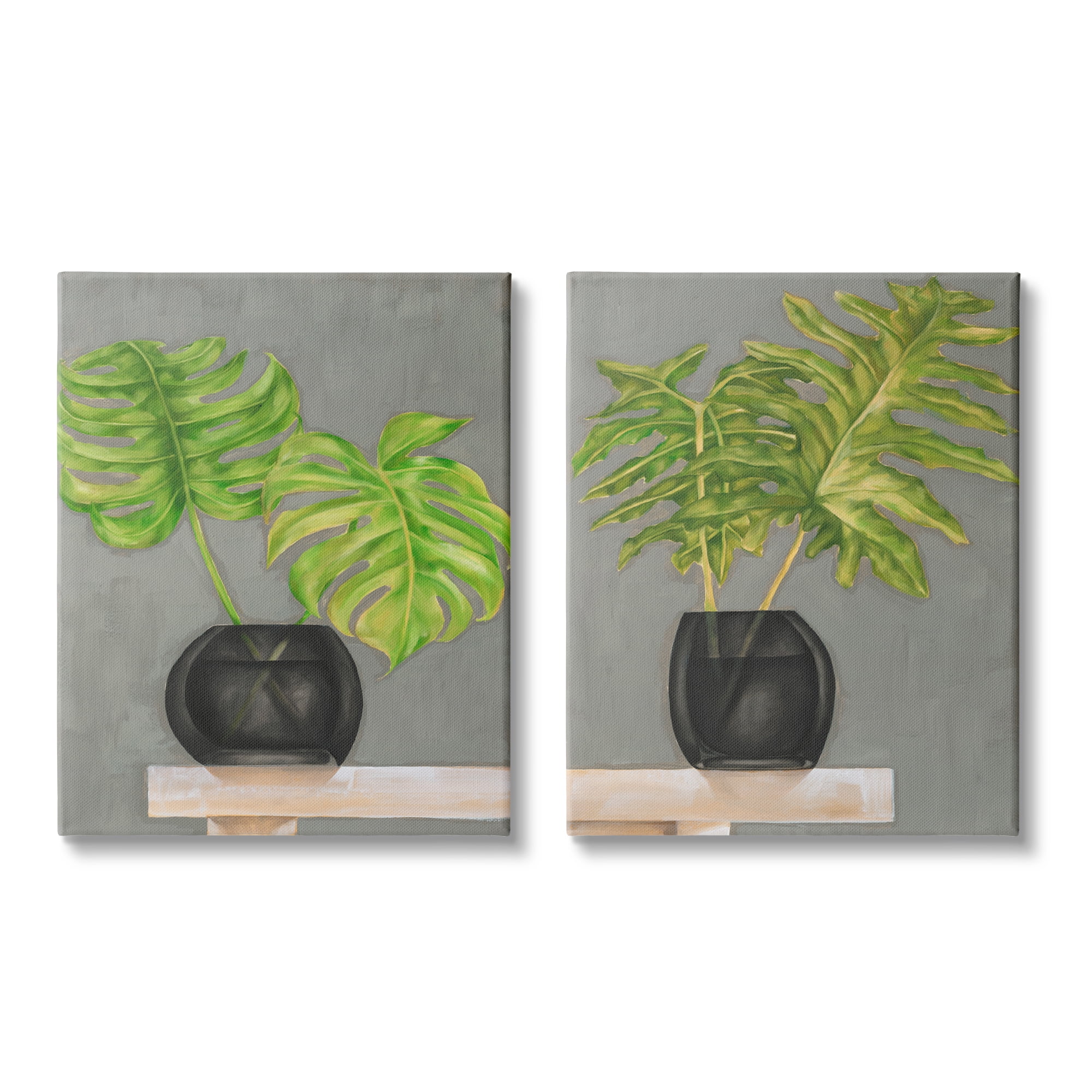 Stupell Indtries Tropical Plant Fronds Monstera Interior Still Life,16 x 20,Design by Jennifer Goldberger&nbsp;