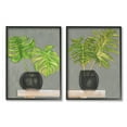 thumbnail image 1 of Stupell Indtries Tropical Plant Fronds Monstera Interior Still Life,24 x 30,Design by Jennifer Goldberger&nbsp;, 1 of 7