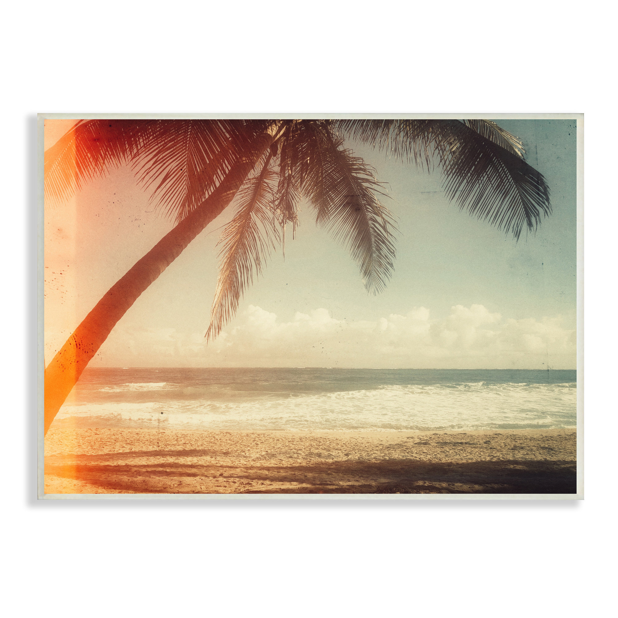 Stupell Indtries Vintage Sun Bleached Ocean Scene Hanging Palm Tree,19 x 13,Design by Acosta