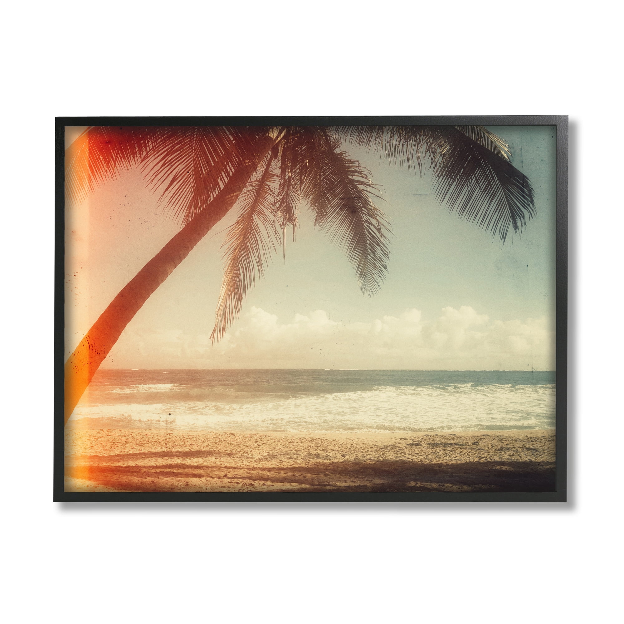 Stupell Indtries Vintage Sun Bleached Ocean Scene Hanging Palm Tree,20 x 16,Design by Acosta