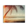 thumbnail image 1 of Stupell Indtries Vintage Sun Bleached Ocean Scene Hanging Palm Tree,20 x 16,Design by Acosta, 1 of 5