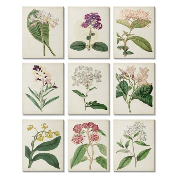 Stupell Indtries Warm Spring Floral Botanicals Over Beige Vintage Study,11 x 14,Design by Ridgeway