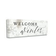 thumbnail image 1 of Stupell Industries Welcome Winter Phrase Geometric Snowflake Pattern Holiday Painting Gallery Wrapped Canvas Art Print Wall Art, 13 x 30, 1 of 6