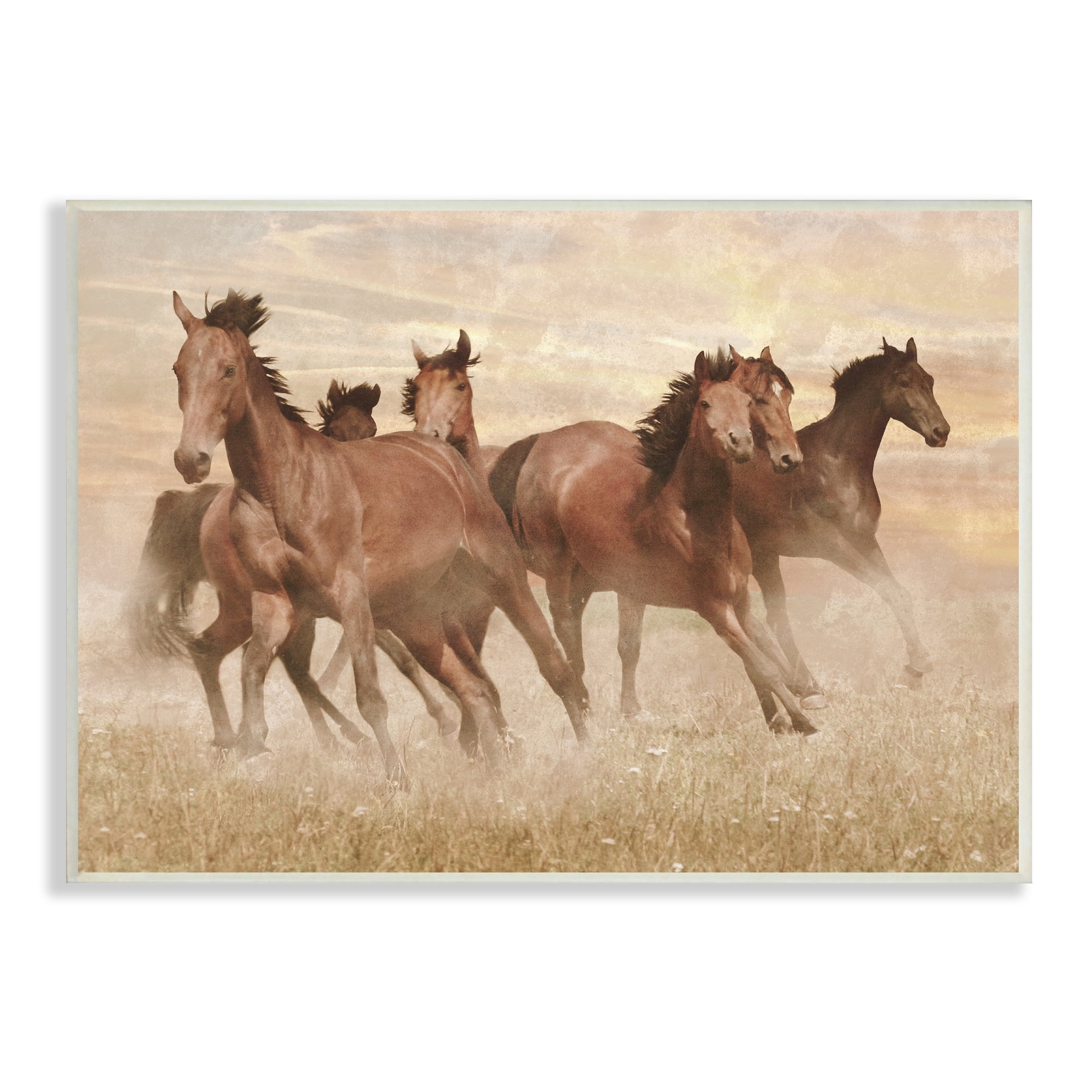 Stupell Indtries Wild Horse Stampede Monochromatic Brown Country Field,19 x 13,Design by Marc Prime
