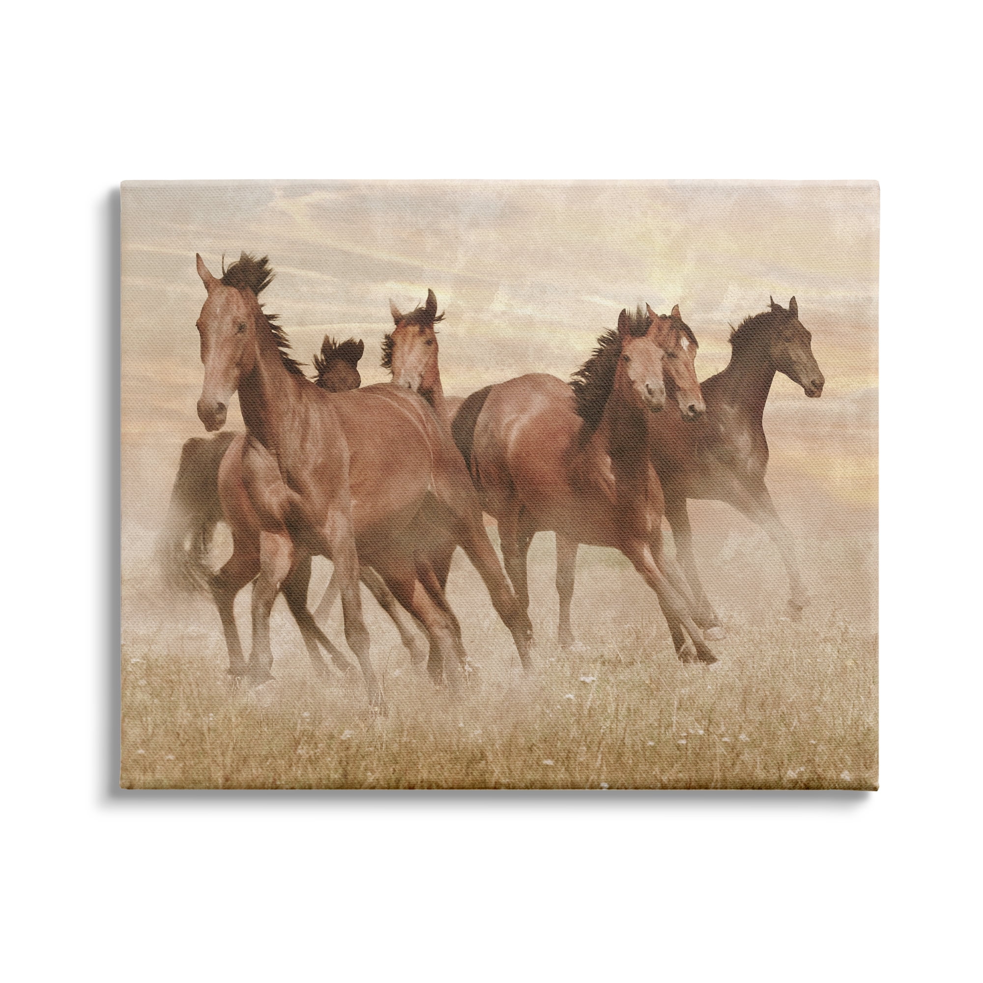 Stupell Indtries Wild Horse Stampede Monochromatic Brown Country Field,20 x 16,Design by Marc Prime