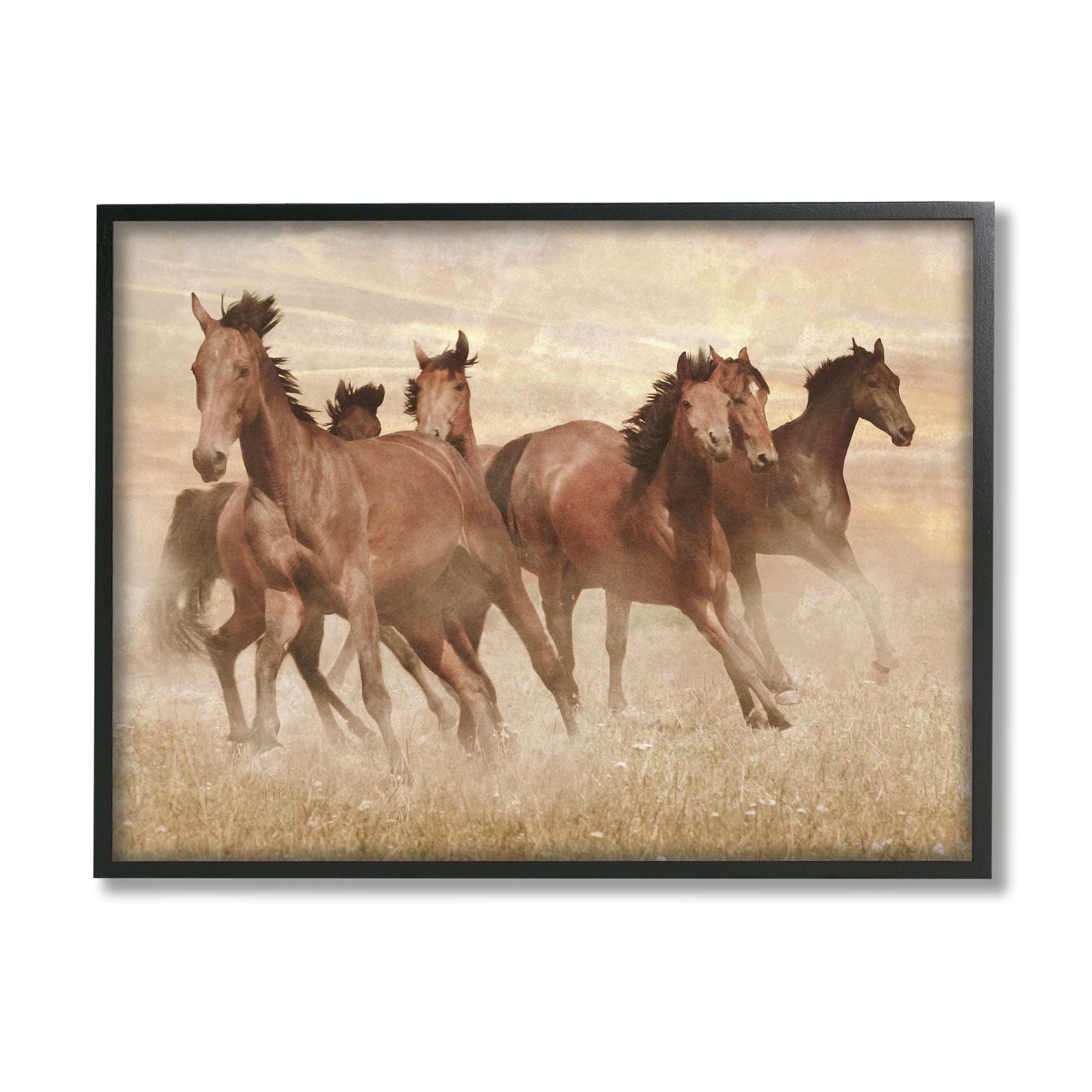 Stupell Indtries Wild Horse Stampede Monochromatic Brown Country Field,30 x 24,Design by Marc Prime