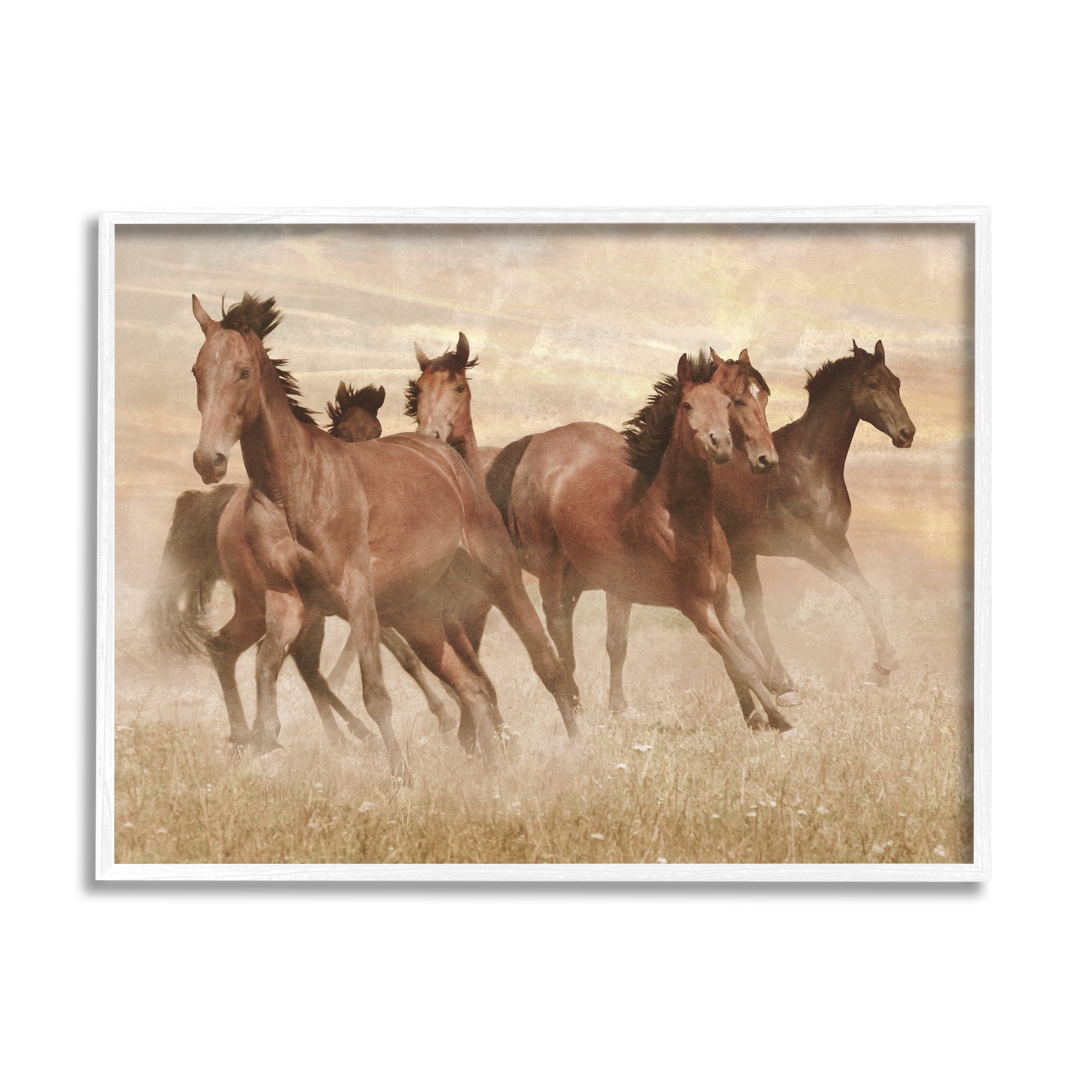 Stupell Indtries Wild Horse Stampede Monochromatic Brown Country Field,30 x 24,Design by Marc Prime