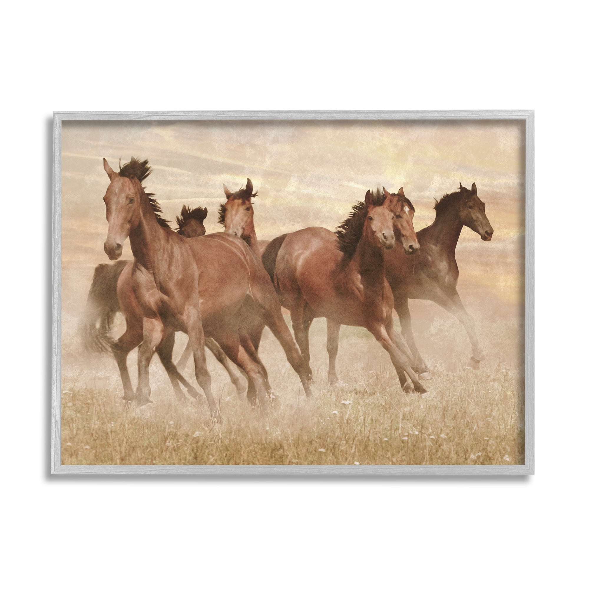Stupell Indtries Wild Horse Stampede Monochromatic Brown Country Field,30 x 24,Design by Marc Prime