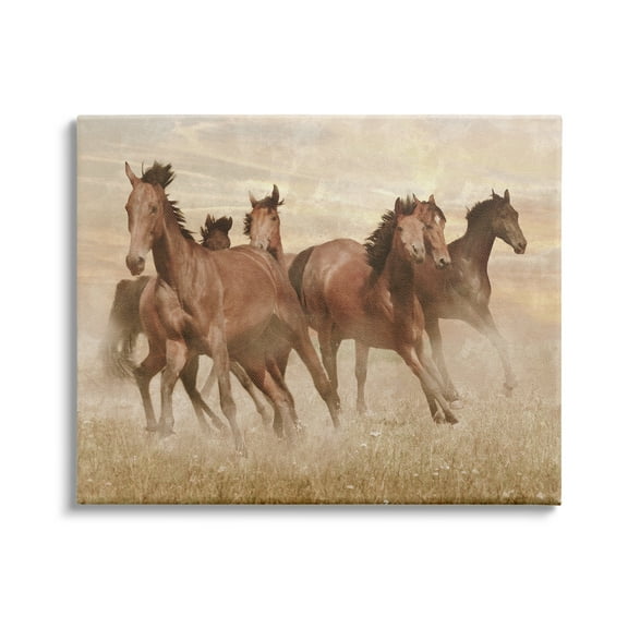 Stupell Indtries Wild Horse Stampede Monochromatic Brown Country Field,48 x 36,Design by Marc Prime