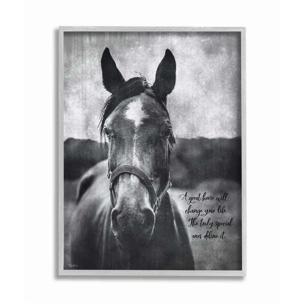 Stupell Industries A Great Horse Inspiring Word Farm Design Graphic Art Gray Framed Art Print Wall Art, 16x20, by Gigi Louise