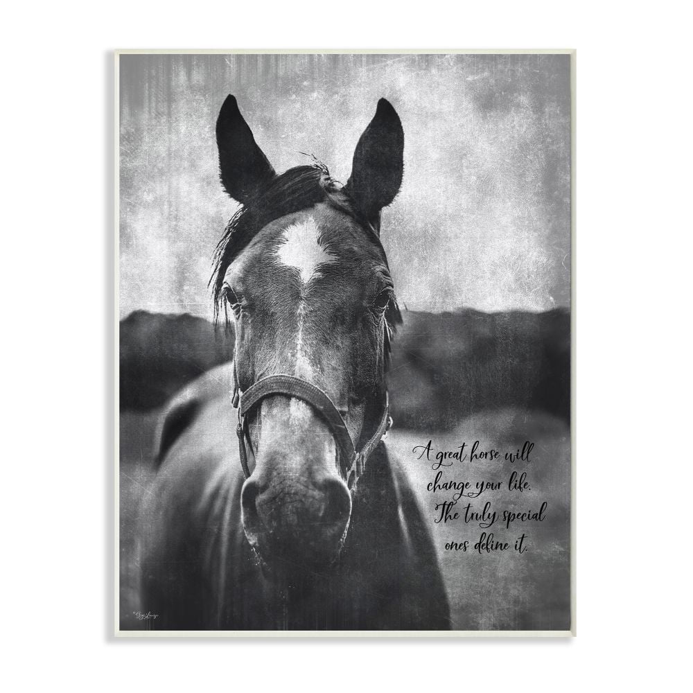 Stupell Industries A Great Horse Inspiring Word Farm Design Wall Plaque by Gigi Louise