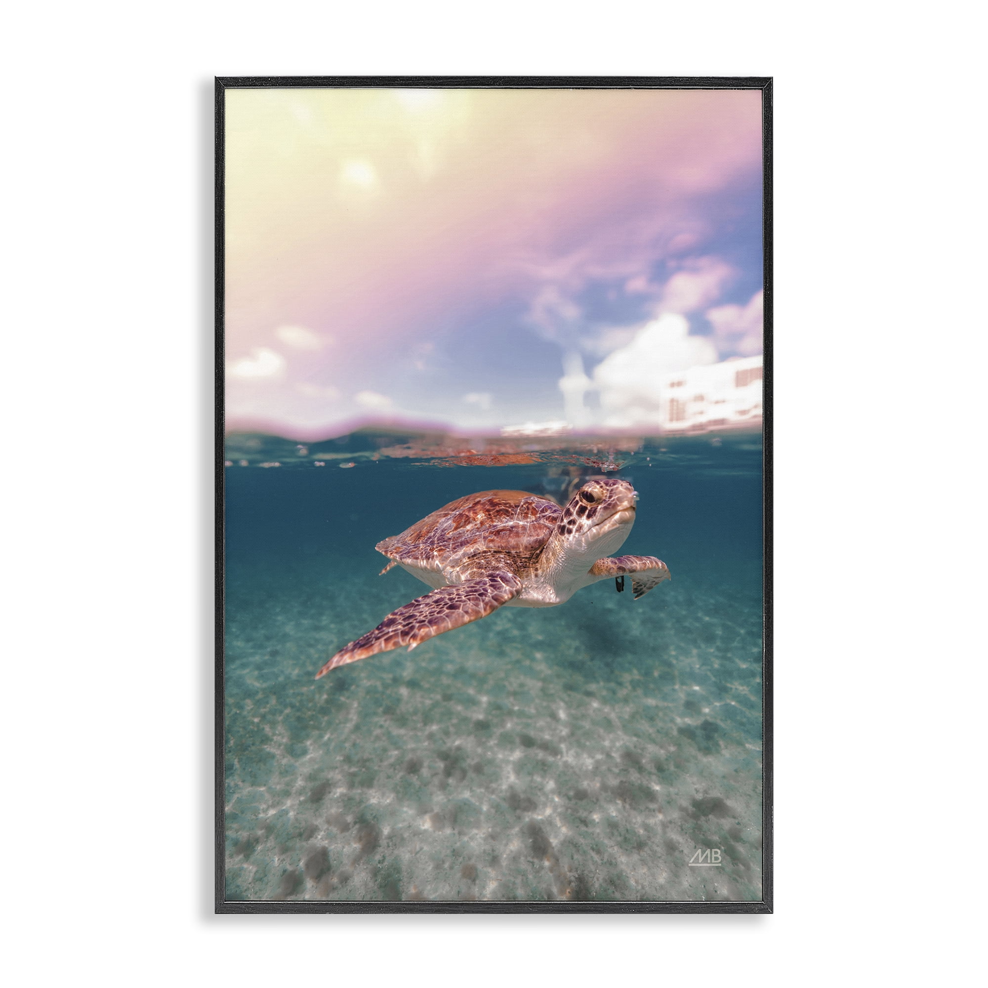 Stupell Industries Above & Below Sea Turtle Animals Photography Black Framed Art Print Wall Art, 16 x 24