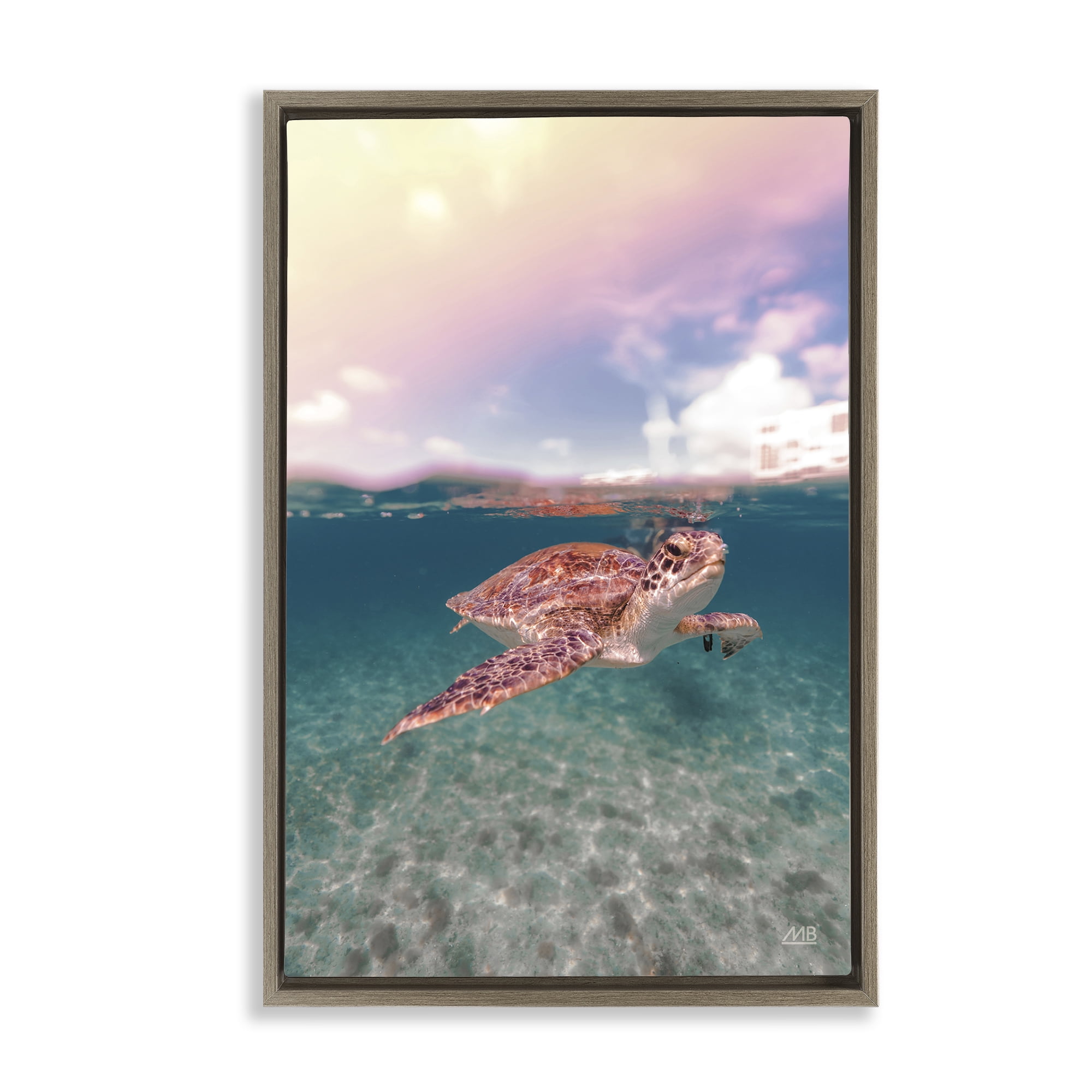 Stupell Industries Above & Below Sea Turtle Animals Photography Brown Floater Framed Canvas Art Print Wall Art, 17 x 25