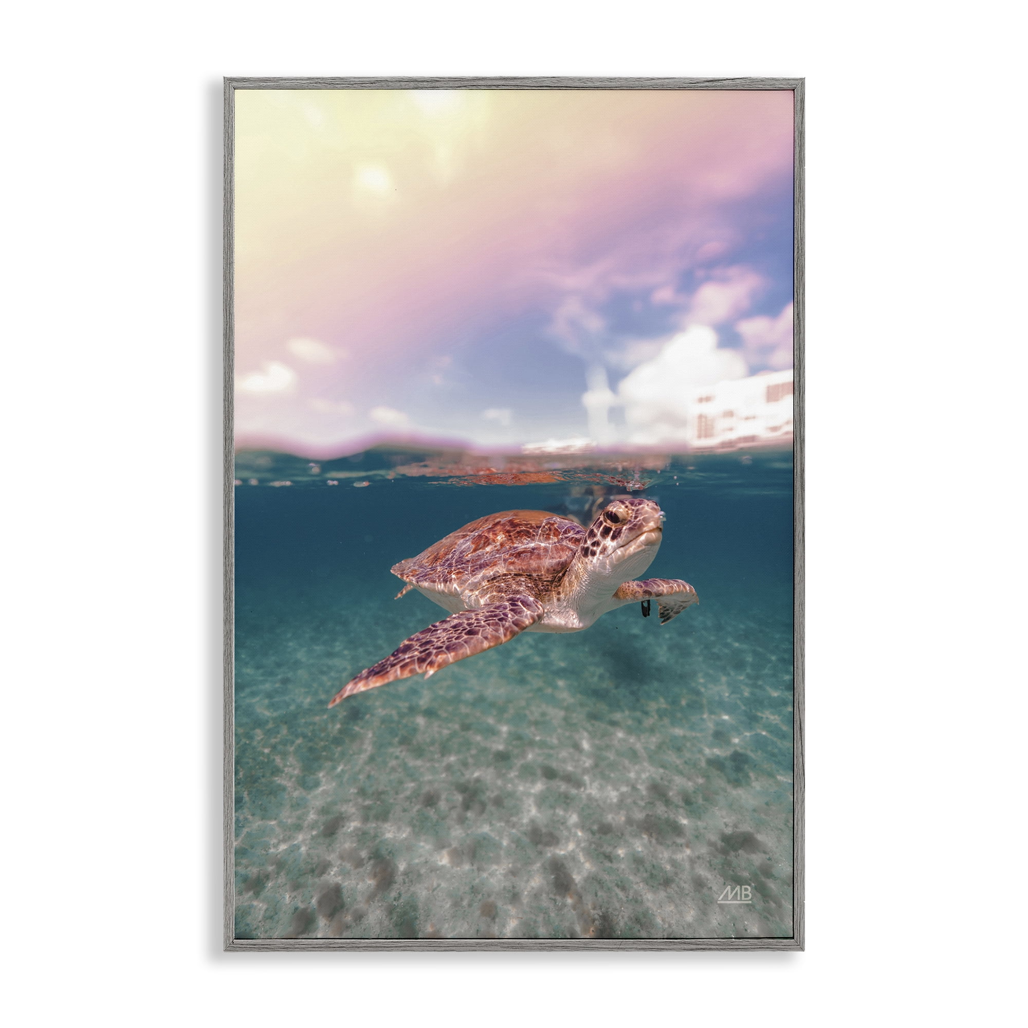 Stupell Industries Above & Below Sea Turtle Animals Photography Gray Framed Art Print Wall Art, 20 x 30