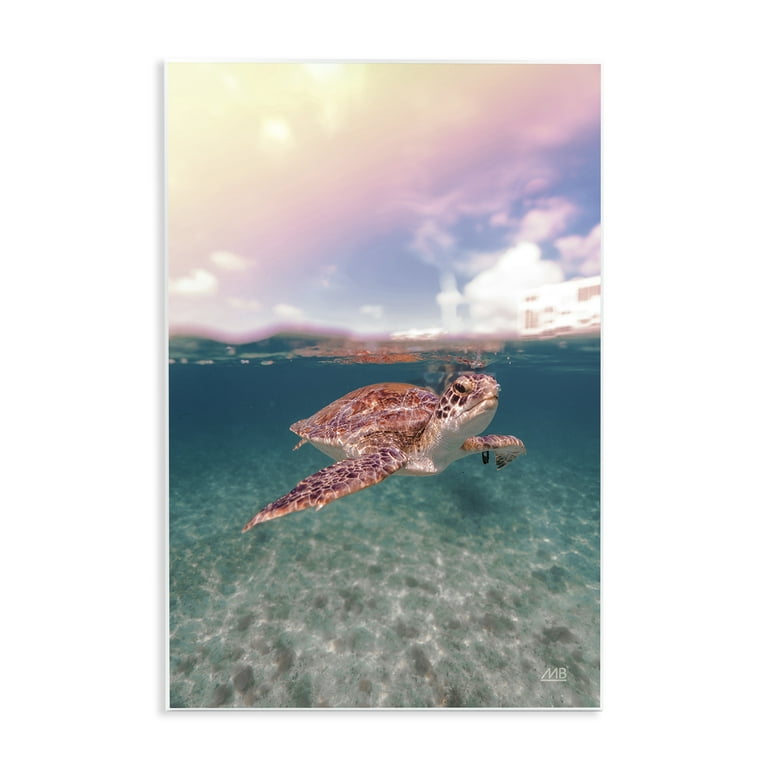 Stupell Industries Above Below Sea Turtle Animals Photography