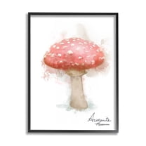 Stupell Industries Abstract Amanita Mushroom Botanical & Floral Painting Black Framed Art Print Wall Art, 11 x 14