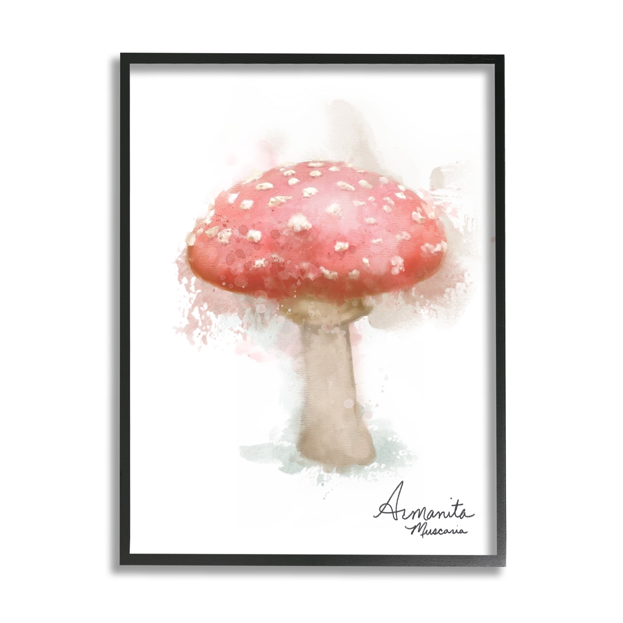 Stupell Industries Abstract Amanita Mushroom Botanical & Floral Painting Black Framed Art Print Wall Art, 24 x 30