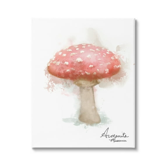 Stupell Industries Abstract Amanita Mushroom Botanical & Floral Painting Gallery Wrapped Canvas Art Print Wall Art, 16 x 20
