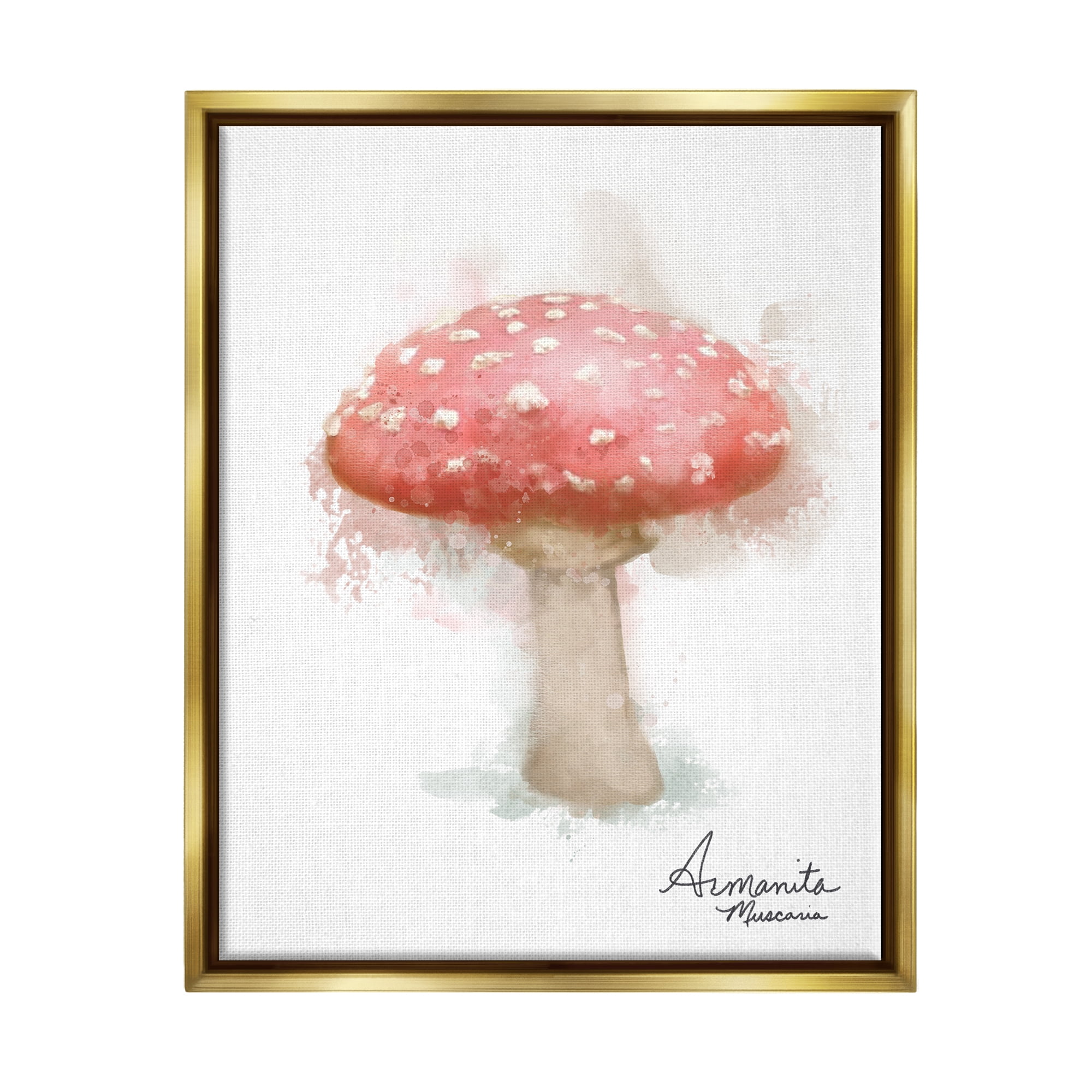 Stupell Industries Abstract Amanita Mushroom Botanical & Floral Painting Gold Floater Framed Canvas Art Print Wall Art, 17 x 21