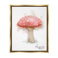 thumbnail image 1 of Stupell Industries Abstract Amanita Mushroom Botanical & Floral Painting Gold Floater Framed Canvas Art Print Wall Art, 25 x 31, 1 of 10