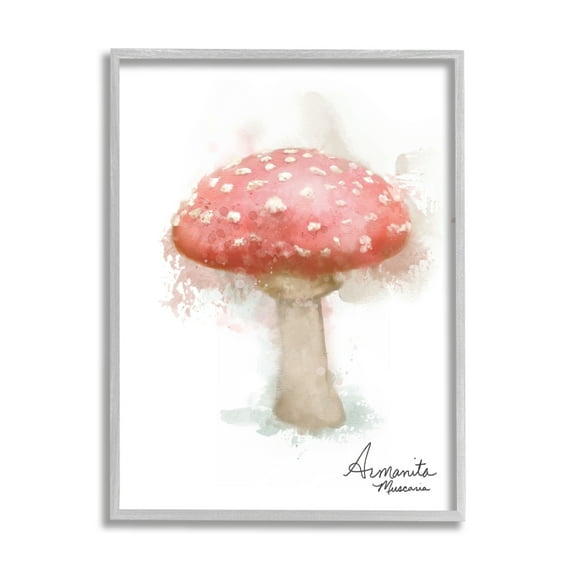 Stupell Industries Abstract Amanita Mushroom Botanical & Floral Painting Gray Framed Art Print Wall Art, 16 x 20