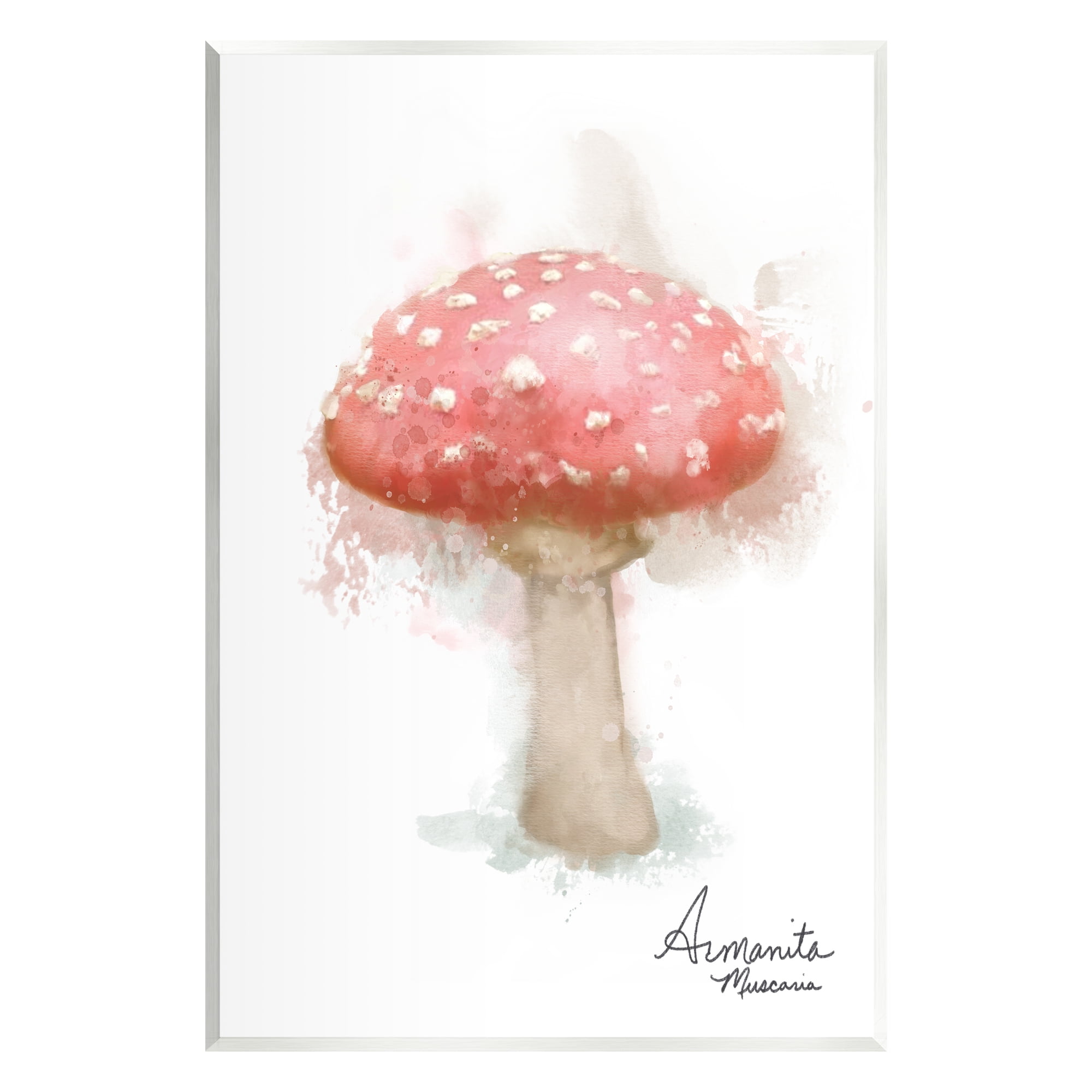 Stupell Industries Abstract Amanita Mushroom Botanical & Floral Painting Unframed Art Print Wall Art, 13 x 19