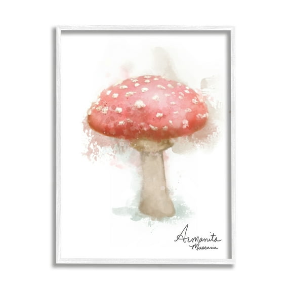 Stupell Industries Abstract Amanita Mushroom Botanical & Floral Painting White Framed Art Print Wall Art, 11 x 14