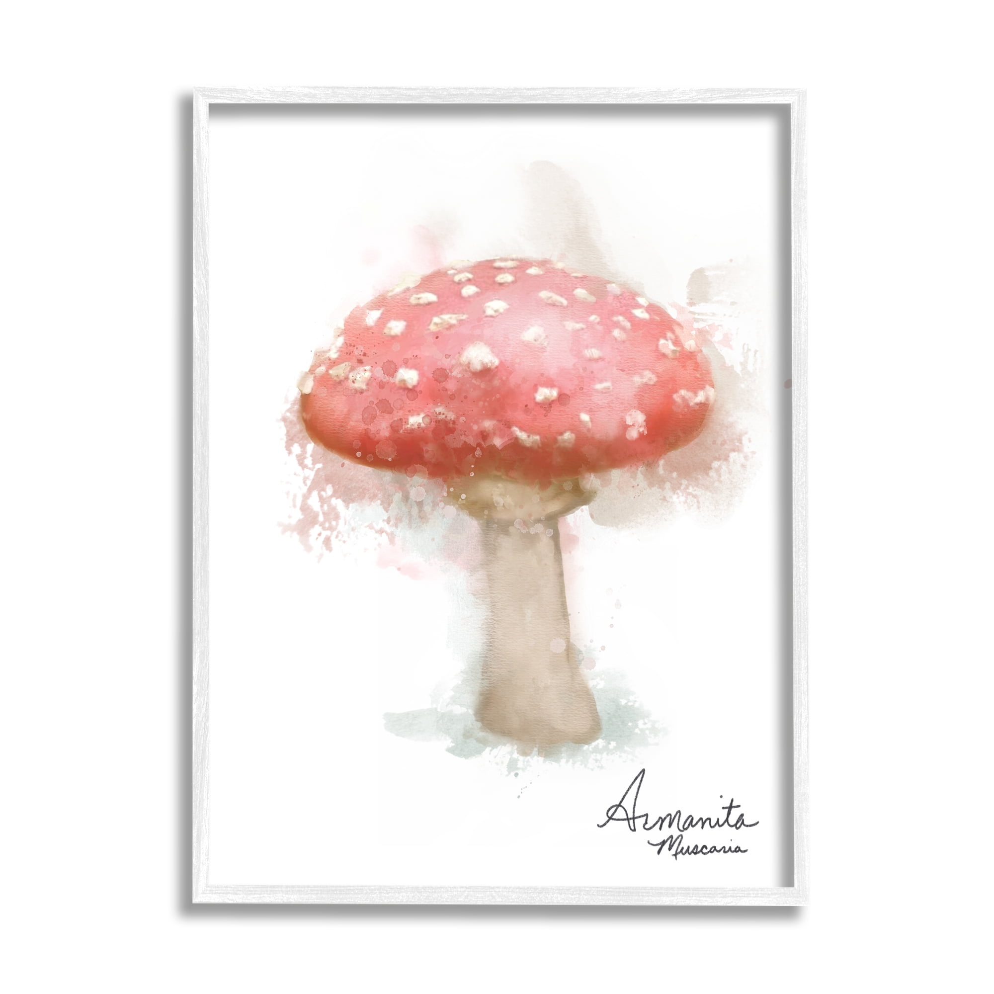 Stupell Industries Abstract Amanita Mushroom Botanical & Floral Painting White Framed Art Print Wall Art, 24 x 30
