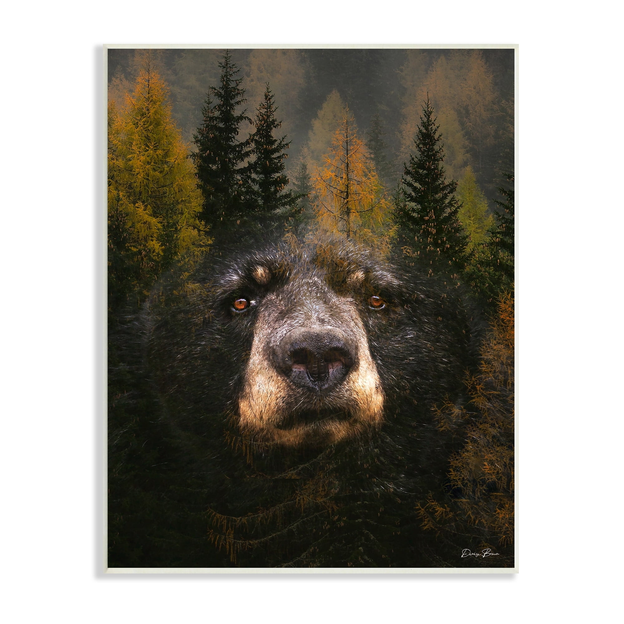 Stupell Industries Abstract Black Bear Wilderness Pine Forest Modern Photography, 13 x 19,Design by Denise Brown