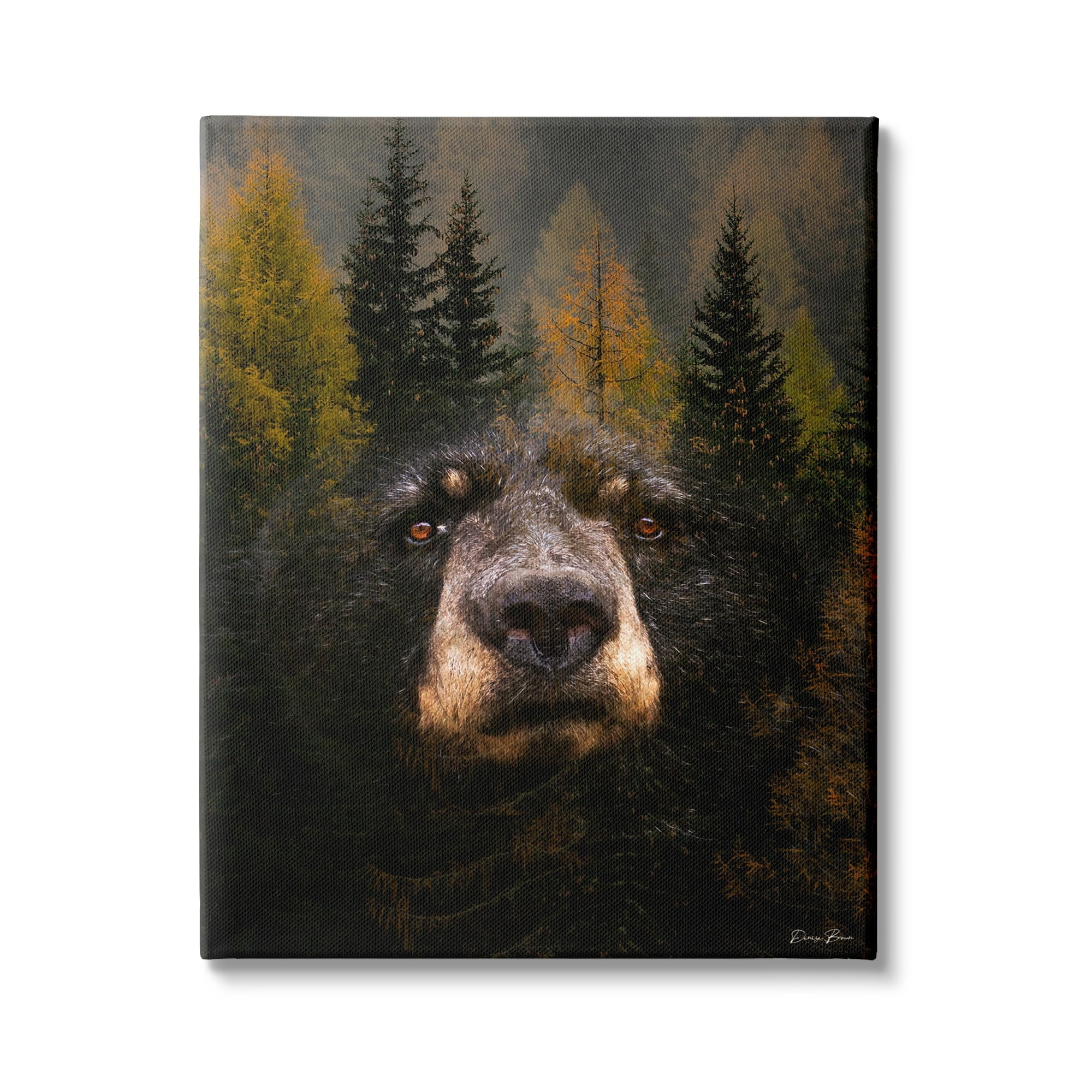 Stupell Industries Abstract Black Bear Wilderness Pine Forest Modern Photography, 16 x 20,Design by Denise Brown