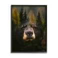 thumbnail image 1 of Stupell Industries Abstract Black Bear Wilderness Pine Forest Modern Photography Black Framed Art Print Wall Art, 11x14, by Denise Brown, 1 of 7