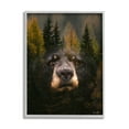 thumbnail image 1 of Stupell Industries Abstract Black Bear Wilderness Pine Forest Modern Photography Gray Framed Art Print Wall Art, 11x14, by Denise Brown, 1 of 7