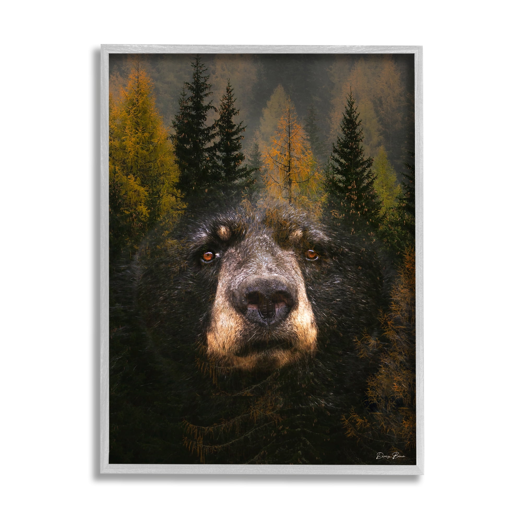 Stupell Industries Abstract Black Bear Wilderness Pine Forest Modern Photography Gray Framed Art Print Wall Art, 24x30, by Denise Brown