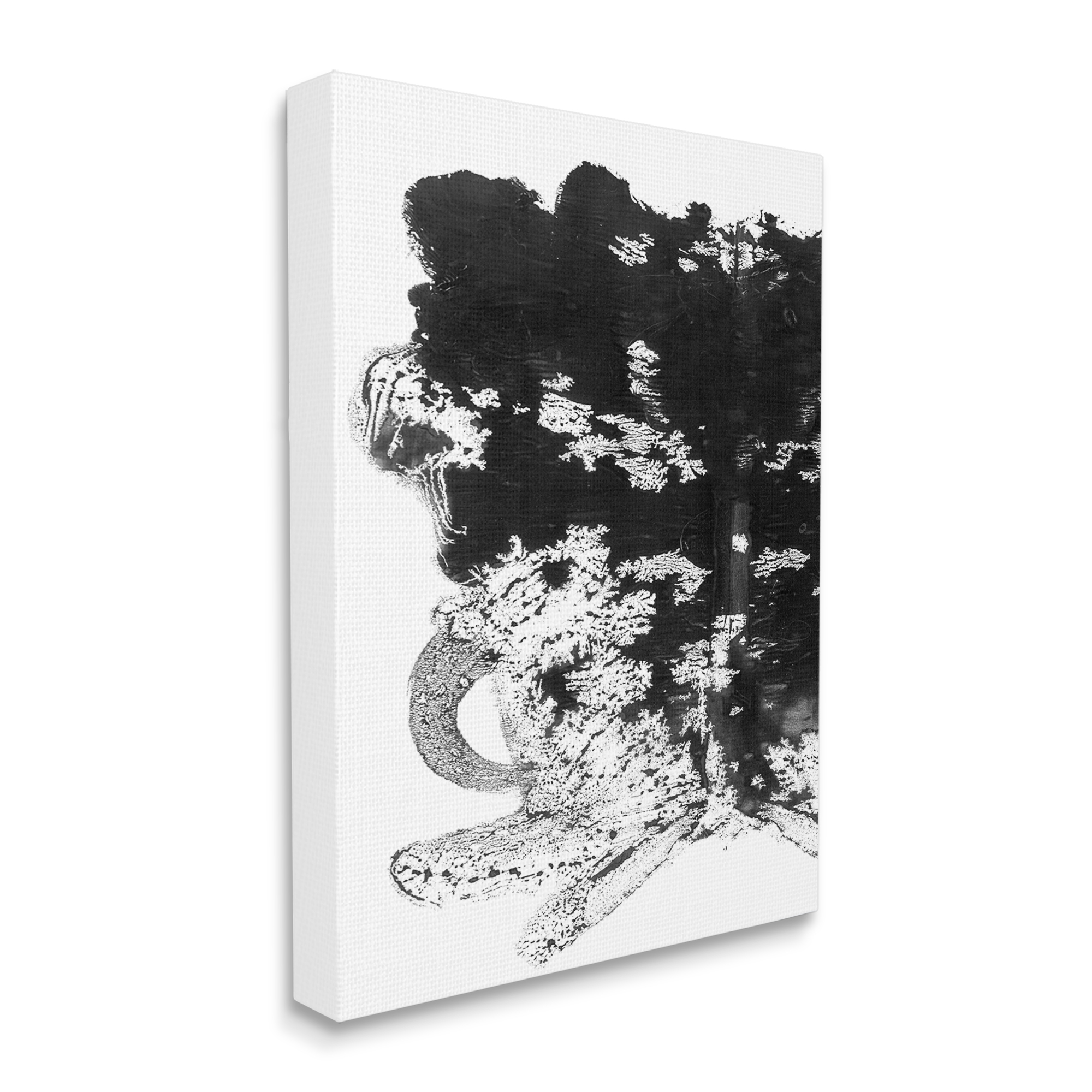 Stupell Industries Abstract Black and White Textures Crystal Shapes Canvas Wall Art by Daphne Polselli