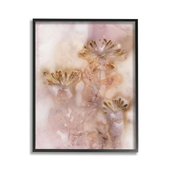 Stupell Industries Abstract Botanical Seeds Botanical & Floral Painting Black Framed Art Print Wall Art, 11 x 14